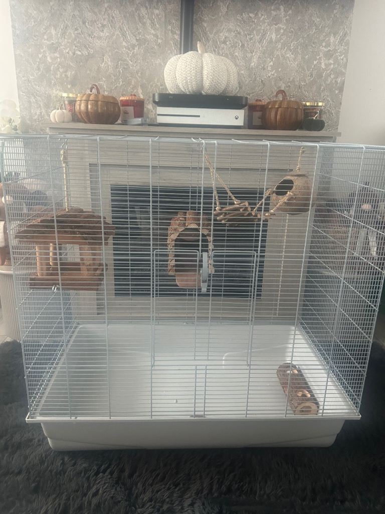 Rat cage