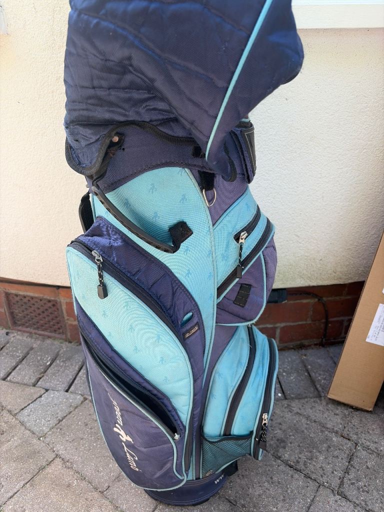 Golf bag and some clubs