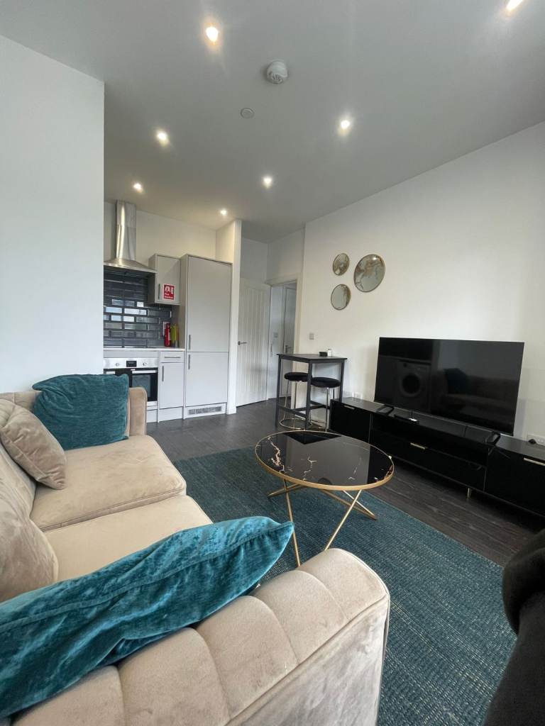Stylish 1 Bedroom Apartment with Modern Finish in Little Germany, BD1