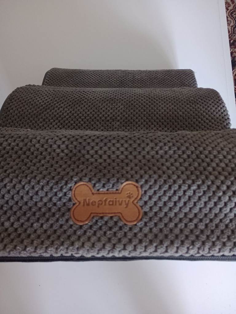 Dog steps.