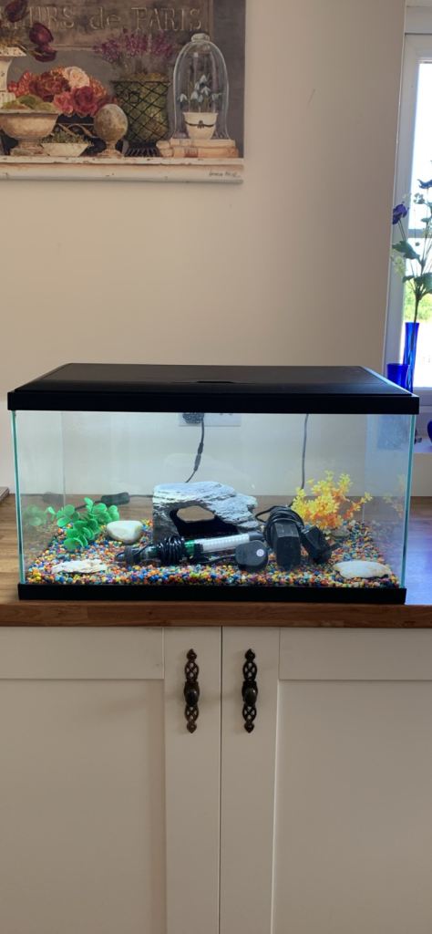 Fish tank 