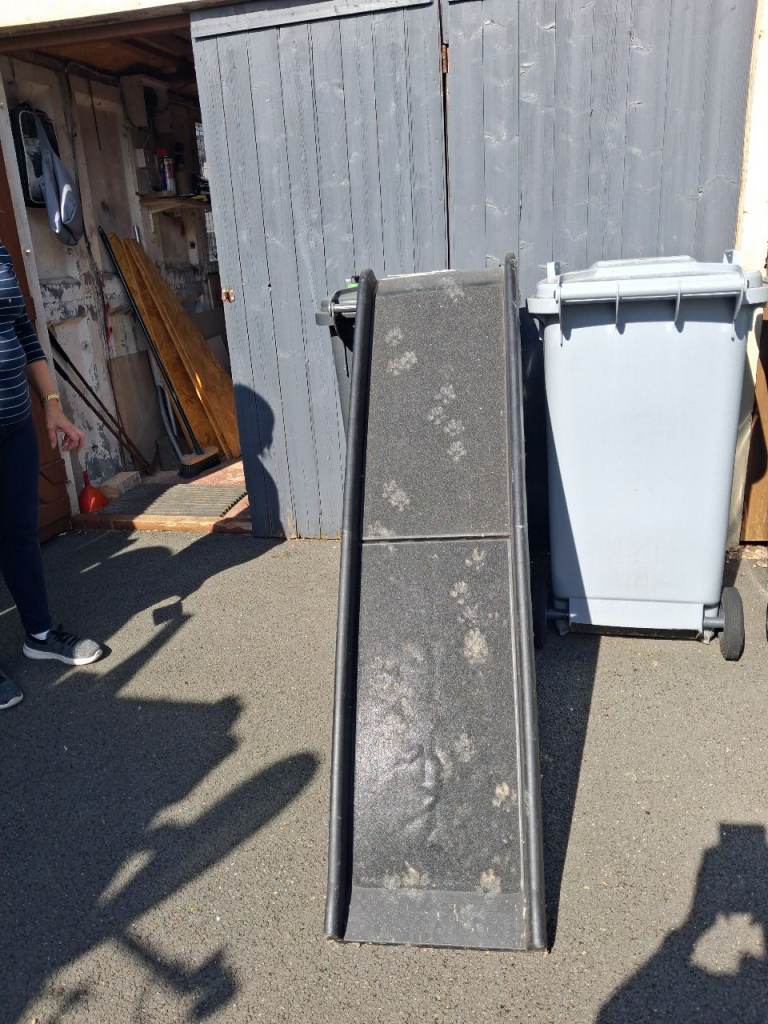 Foldaway Dog ramp.