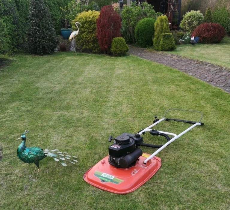 Allen 218 Flymo Hover Lawn Mower 2 Stroke Tecumseh Full Profesional Service