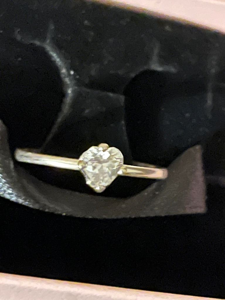 Silver Pandora Ring Size 54