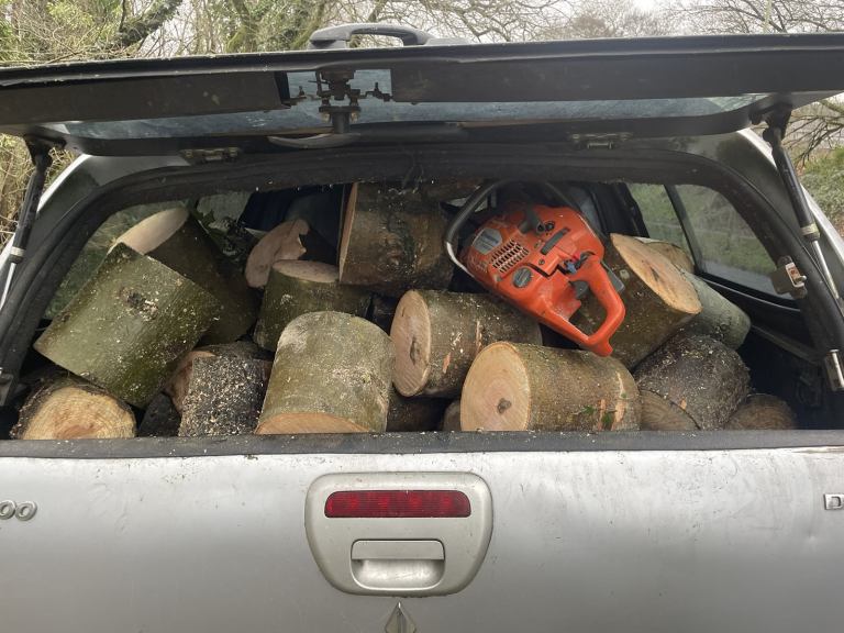 Hardwood seasoned firewood logs 