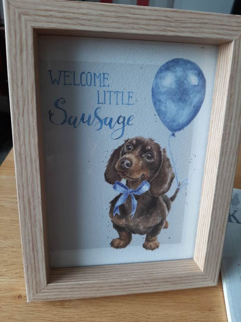 Welcome Little Sausage Dog Picture Frame