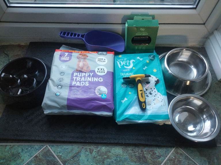 Puppy / Dog accessories 