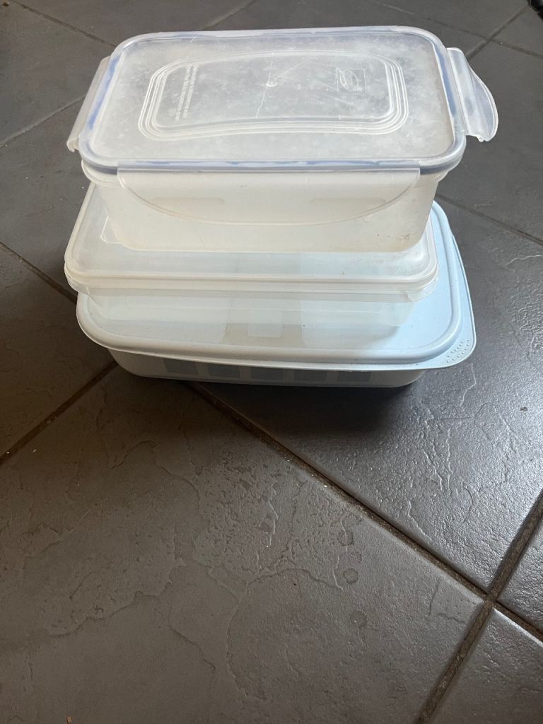  3 Large Plastic Food Storage Containers with Lids