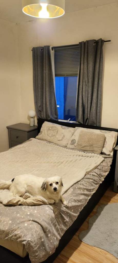 Double room for rent 