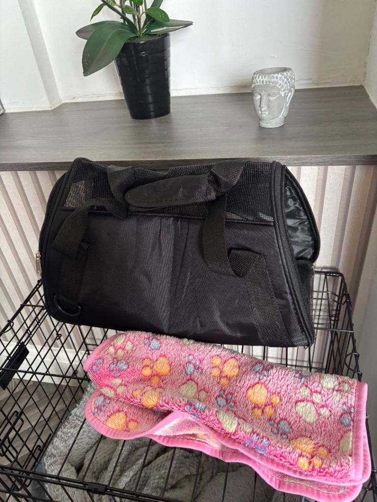 Pet carrier