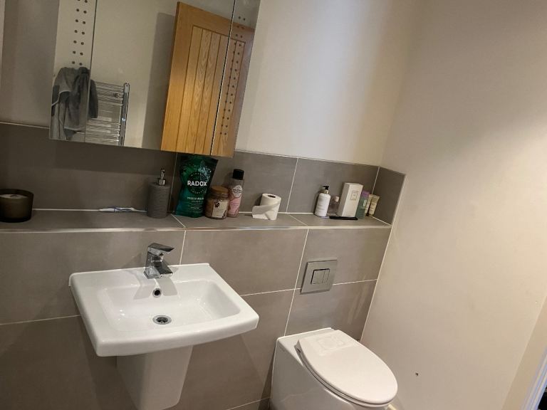 Lovely 1 bedroom flat for rent 