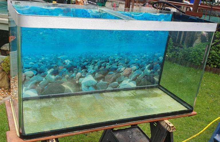 4ft fish tank and accessories 