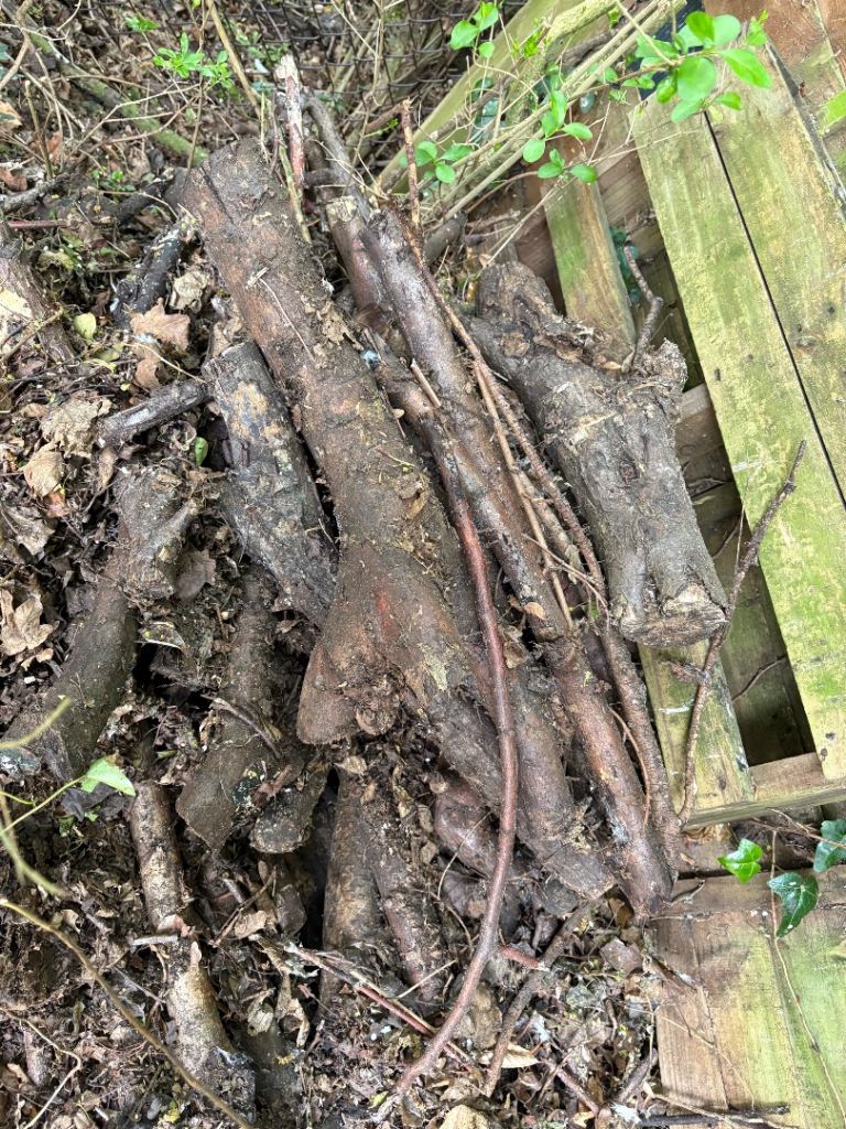 FREE - WOOD Logs and kindling 