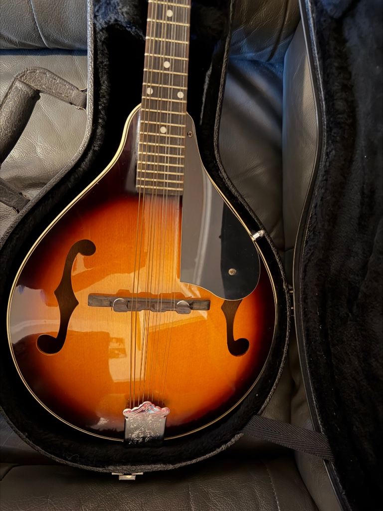 Westfield Acoustic Mandolin – Nearly New Condition