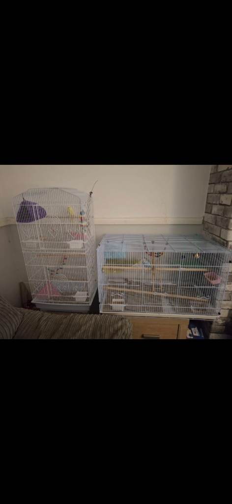 2x Budgie Cages
