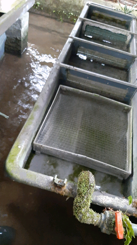 Fish Hatchery Tray For Trout