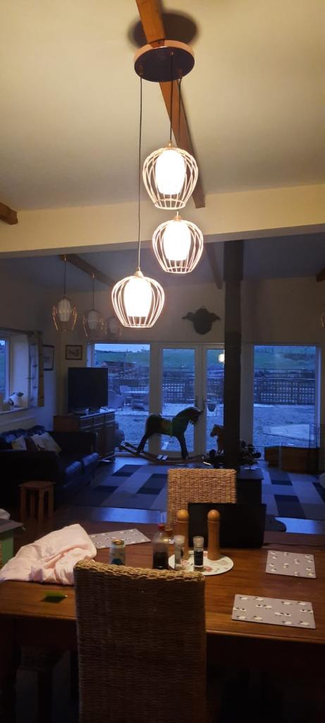 Modern Copper Cage Pendant Light Fitting with 3 Lights