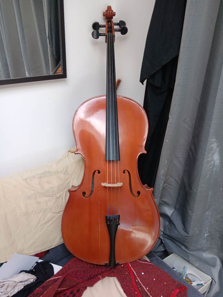 Old stentor student ST cello, full size 4/4