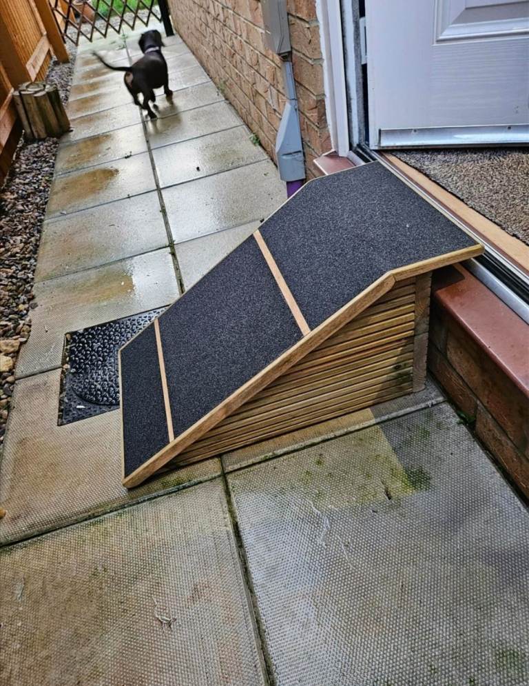 Dog/Pet Ramp for Dog Flap