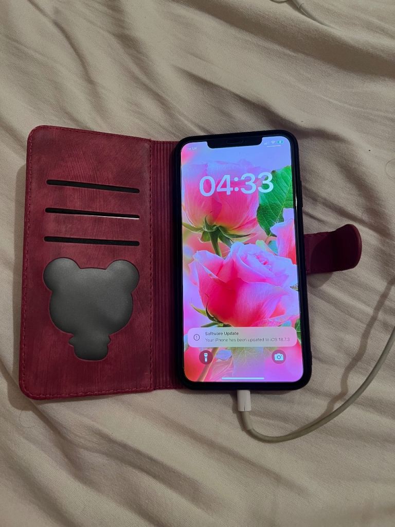 iPhone XS Max 512 gb