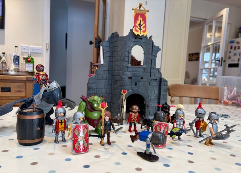 Playmobil fantasy bundle