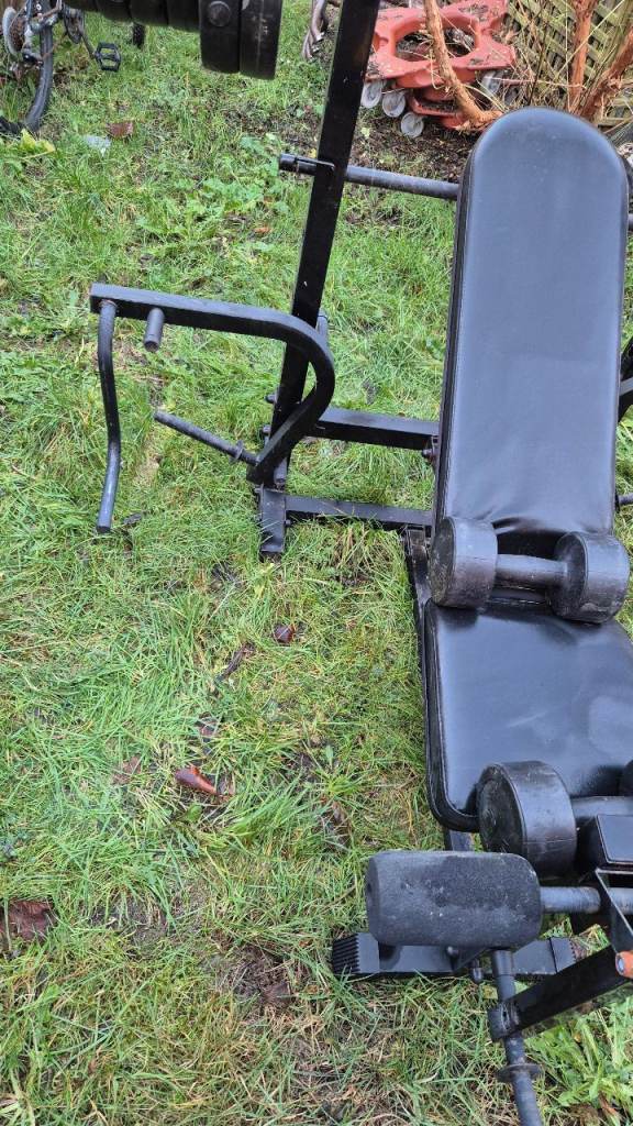 Weights bench press dumbells barbell