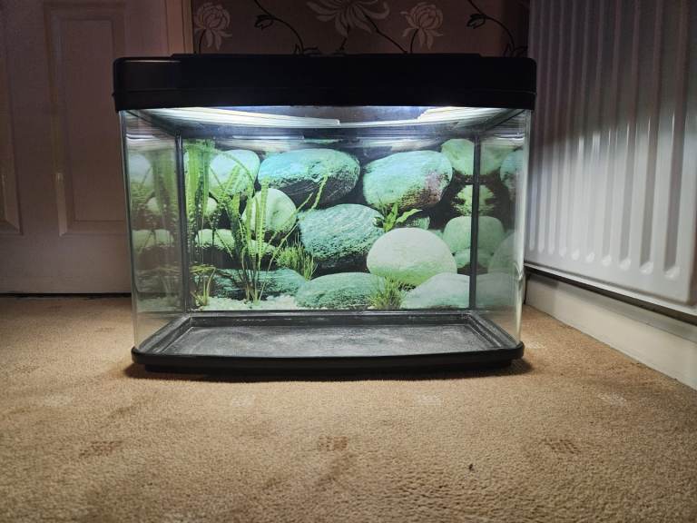 Fish tank and accessories 