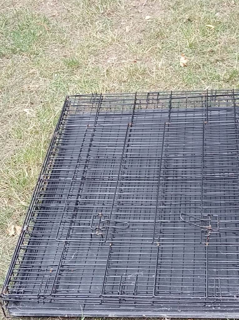 Large dog  crate