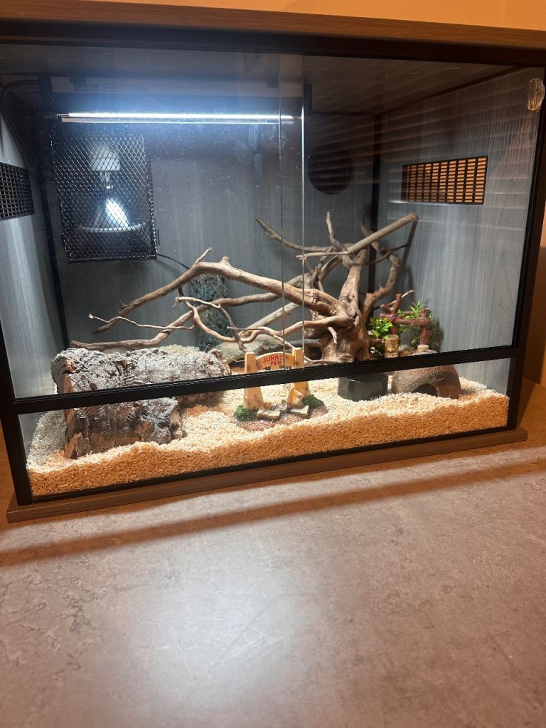 Reptile Vivarium & Equipment Bundle – Never Housed an Animal