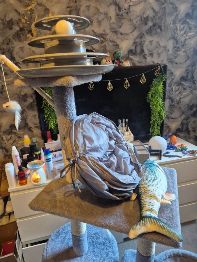 Cat tree and toys