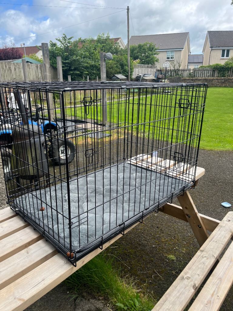 Large dog crate 