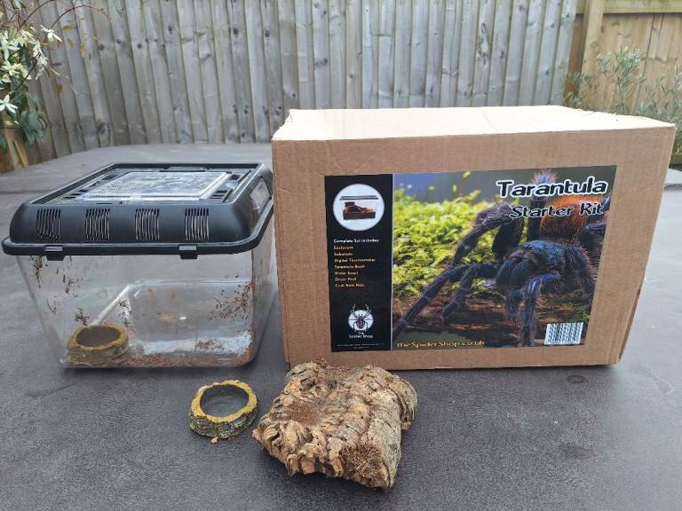 Tarantula starter kits