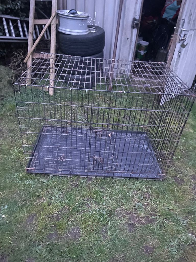 Dog cage 