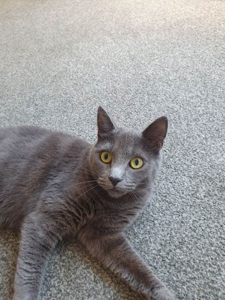 Her name Gracy 