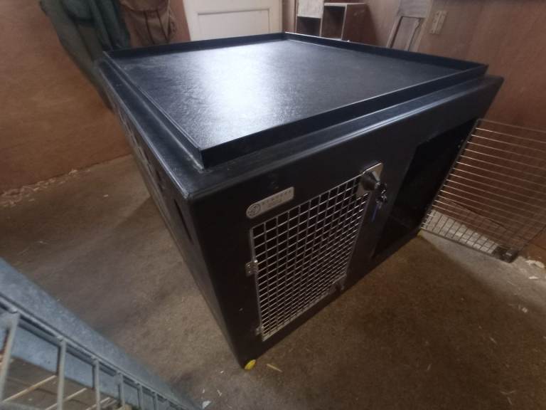 DT Dog Box