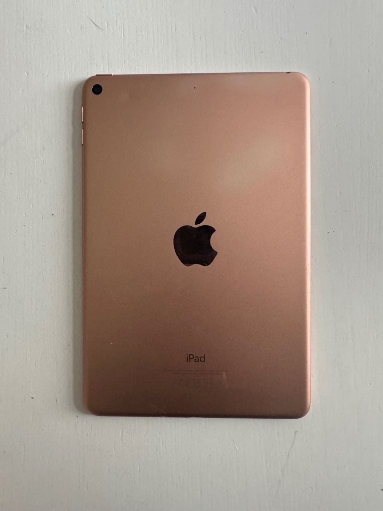 iPad mini 5th generation 