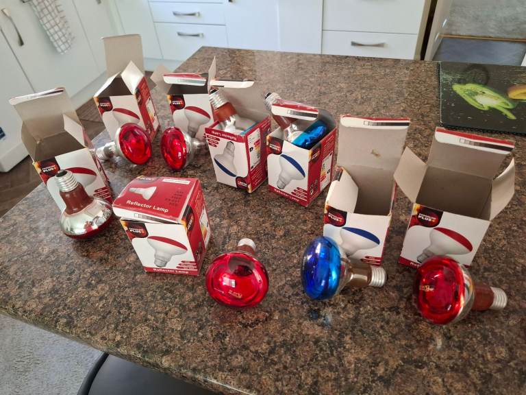 8 COLOURED ES E27 REFLECTOR LAMPS