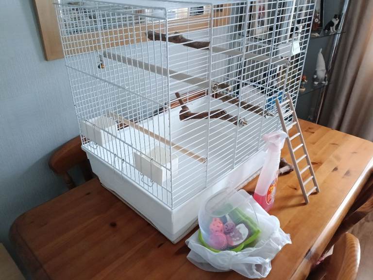 Rectangle birds cage 