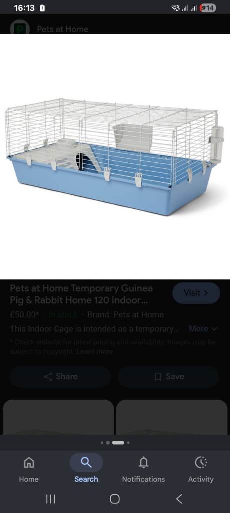 Indoor rabbit/guienee pig page 