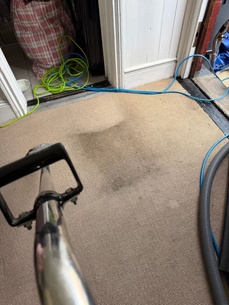 Squeak and Bubbles 🫧 Professional domestic and commercial carpet cleaning services in Otley Leeds. 