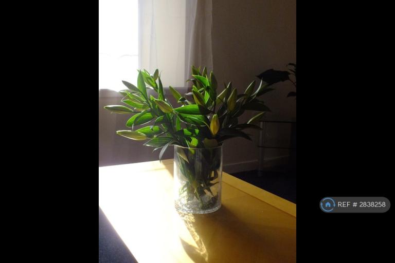 1 bedroom flat in John Knox Court, Aberdeen, AB24 (1 bed) (#2838258)