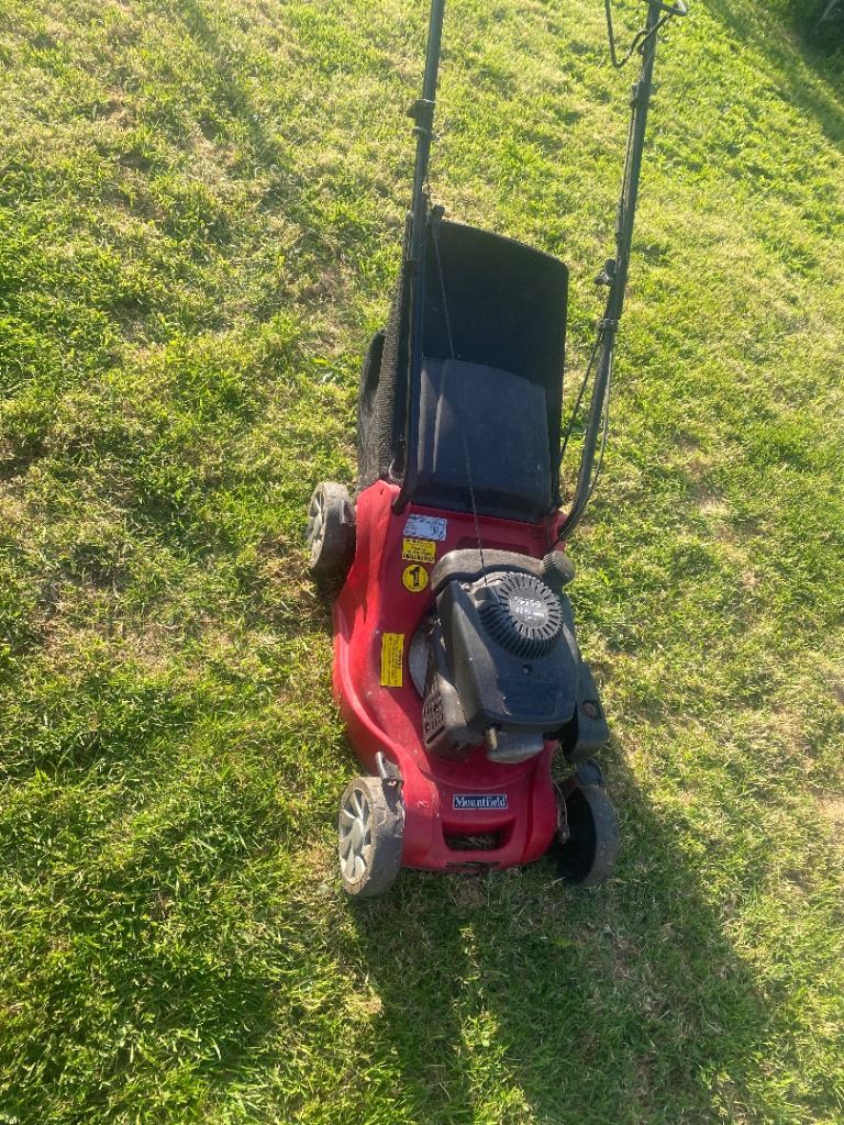 Petrol lawnmower 