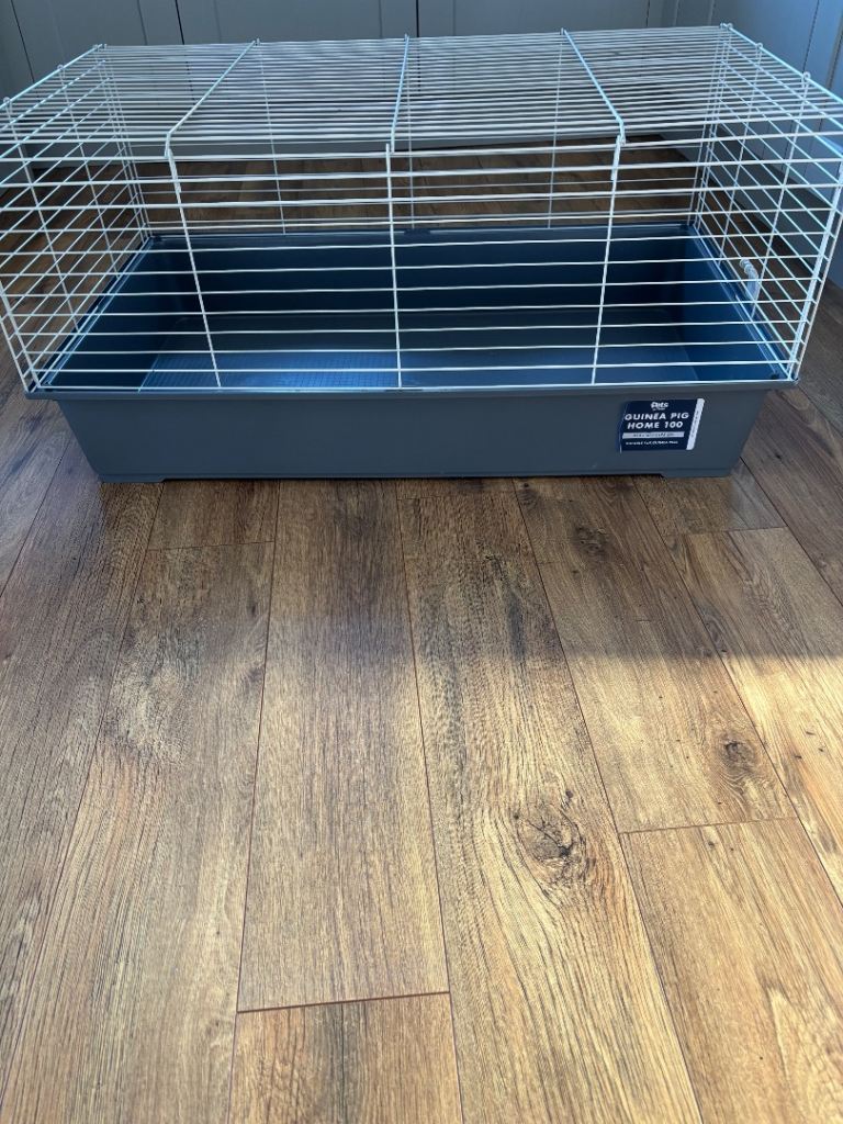 Guinea Pig Cage
