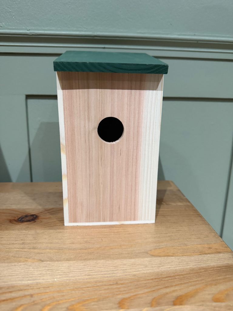Bird box 