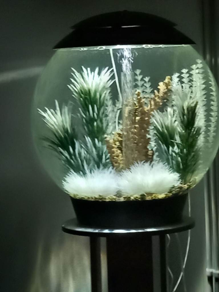 60 litre Spherical Fish Tank with LED Light and Decorations