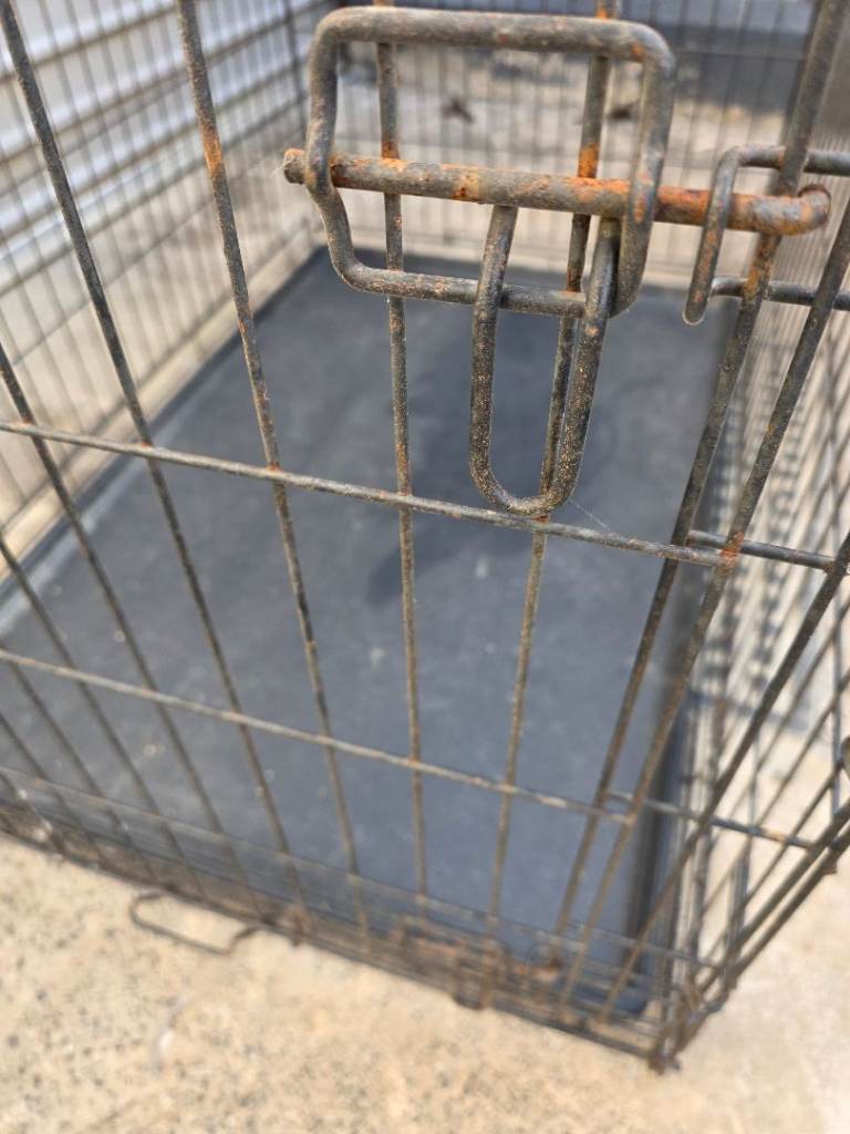 XL dog crate