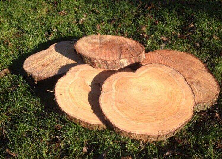 Log slices wedding decoration rustic natural table xmas display 