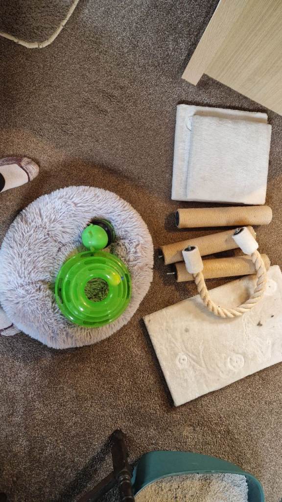 Cat tower, bed and toys