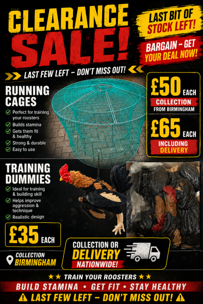 Aseel Rooster Running Cages