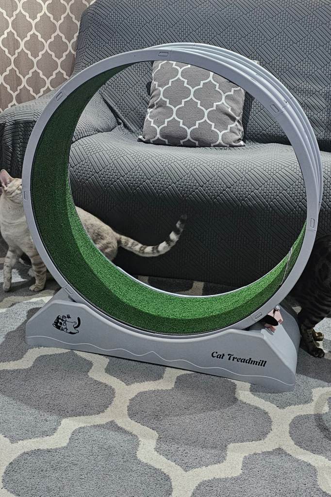 Cat Treadmill/Exercise Wheel